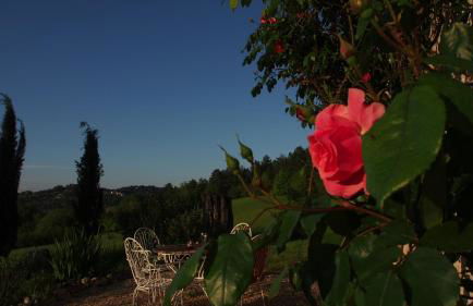 La Bastide Portoly Gîte "Les Deux Cèdres" - Foto 37