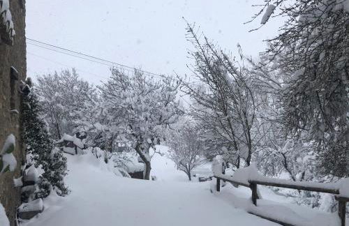 Molino Felix Alojamiento Rurales - Foto 12