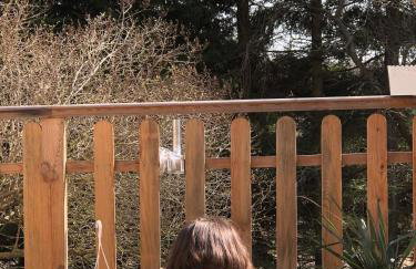 Dom na Warmii -Siedlisko Jabłonka - Foto 76