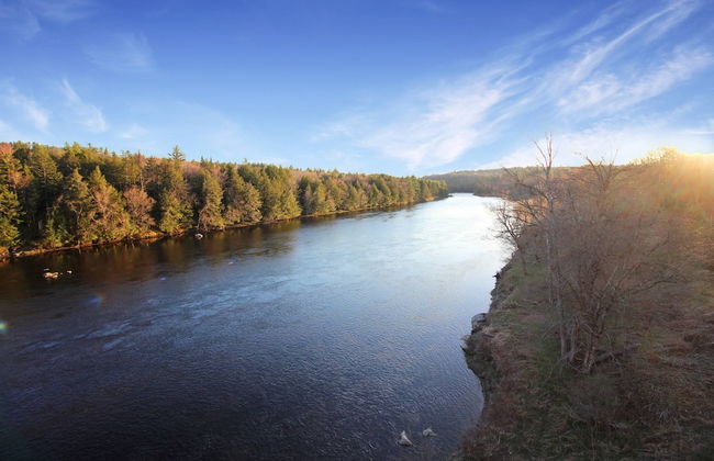 Travelers Haven - Photo 15