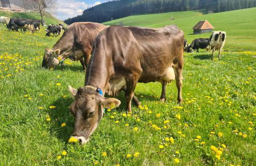 Ferienhaus Wendelhof - Foto 19