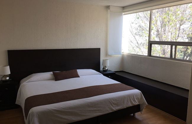 Grupo Kings Suites Magnolia - Foto 7