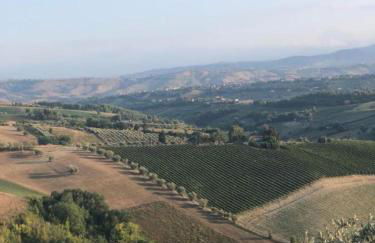 Palme e vigne - Foto 6