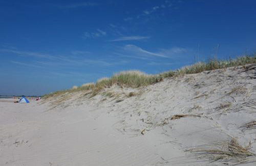 Amare Dierhagen - Foto 24