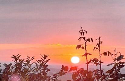 Ferienwohnung Rosenblüte - Foto 25