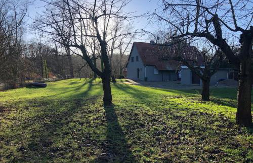 Auszeit Haus am See - Photo 16