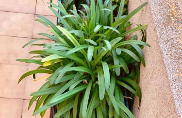 Joya De Playa Mar De Cristal - Foto 22