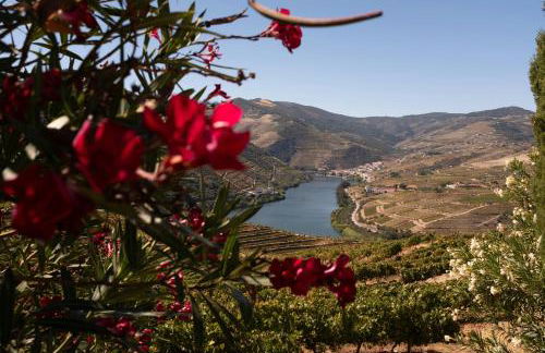 Refúgio Rústico - Exclusivo - Foto 28