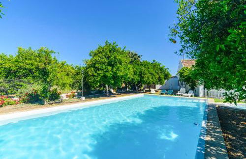 Huerta la Pimentada - Foto 42