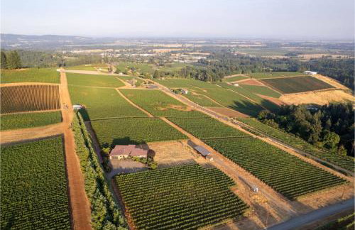 Trellis at Baptista Maresh Vineyard - Foto 42