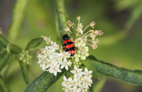 Chata u Żochów - Foto 30