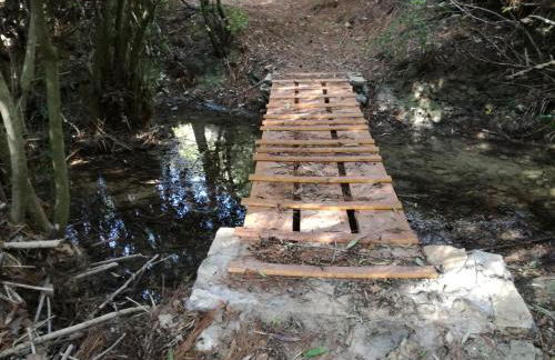 Apollon Resort - Foto 66