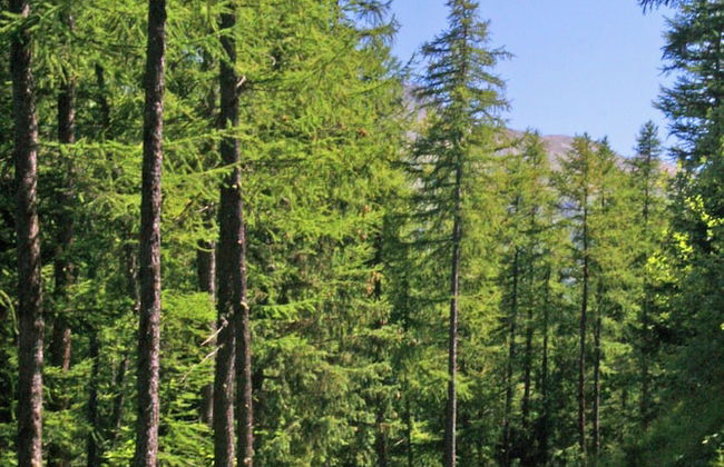 Azureva Les Karellis - Foto 42