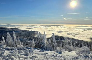 Apartment am Nationalpark Bayerwald - Foto 48