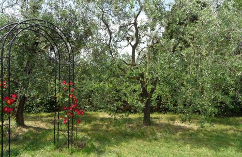 Podere San Pierino - Foto 14