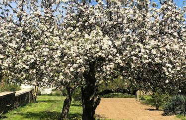 La maison Villecharny - Foto 38