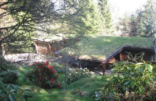 Our Log House in the woods - Photo 48