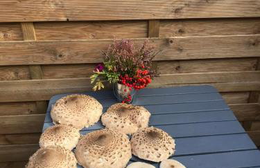 Dzika Plaża Wierzchucino - Foto 23