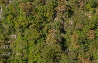 MREŽNICA - ZELENA BAJKa - Foto 2