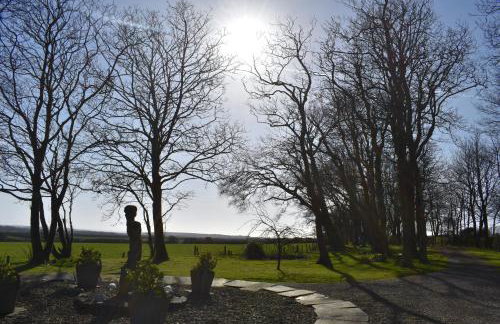 Crug Glas Country House - Foto 5