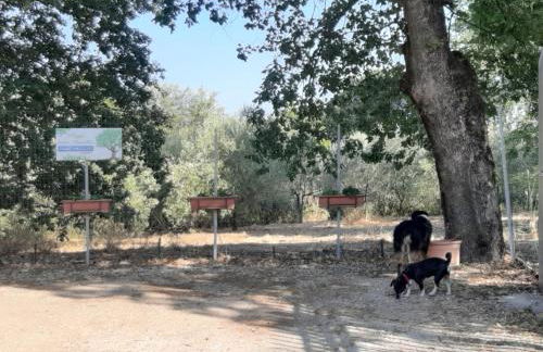 Poggio della Roverella Country House - Foto 9