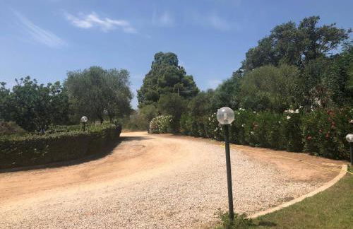 White Sand Residence - Foto 22