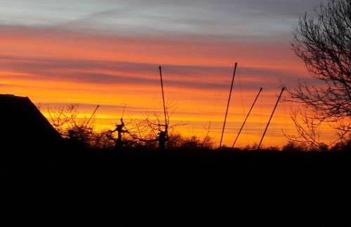 Gemütliches Häuschen im Alten Land - Foto 20