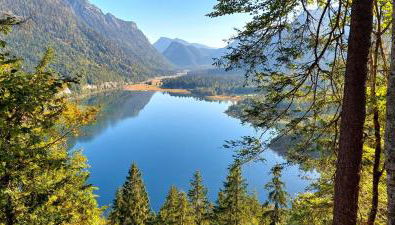 Gästehaus Kaiserwinkl - Foto 2