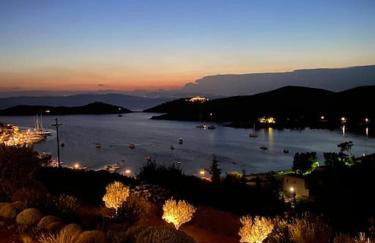 Villa Faros Vourkari Kea with private pool and stunning views - Foto 42