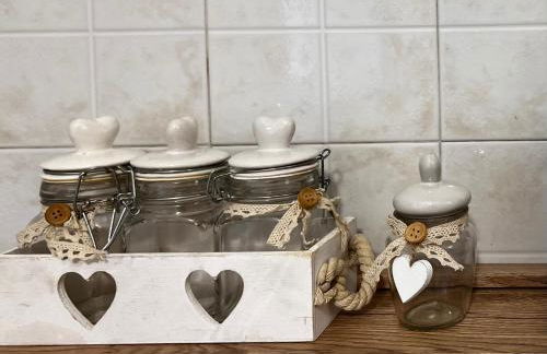 Il giardino delle Cycas - Foto 5