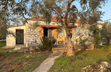 Haus im Olivenhain direkt am Meer - Foto 33