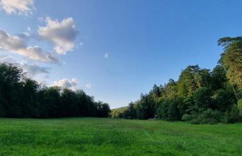 Weißenthalsmühle Birkenhäuschen - Foto 9