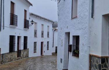 El Pitijopo - Foto 26