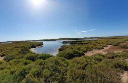 Lieblingshaus mit beheizten Privatpool und Ladesäule - Foto 41