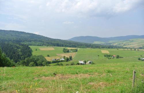 Skała i Las - Foto 20