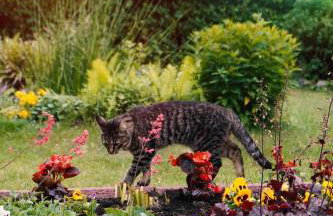 Apartament Żuławy, na wyłączność - Foto 12