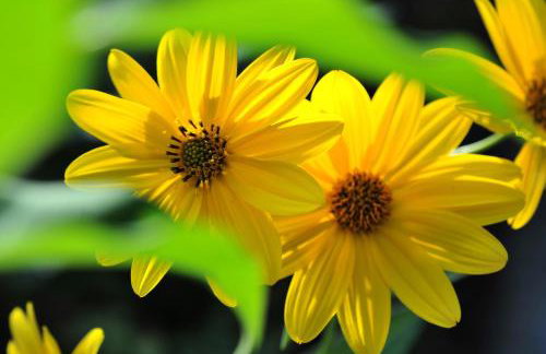 Κonitsa Gefyri hotel - Photo 46