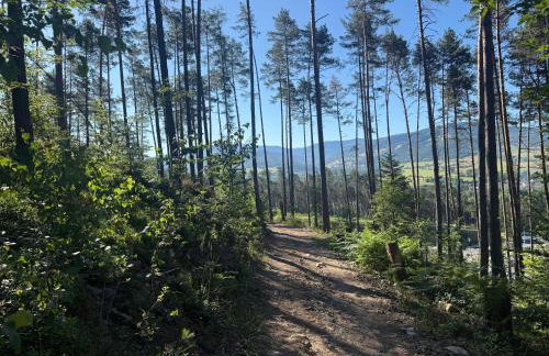 Chatka na Skraju Lasu - Foto 20