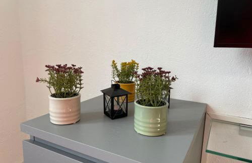 Apartment Haus Stefanie by Interhome - Foto 51