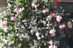 Hedgehog's Hideaway,a peaceful retreat in Nenthead - Foto 27