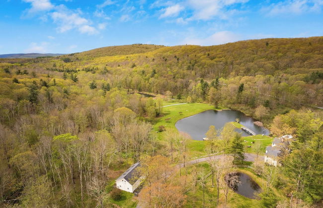 Secluded Estate w/ Guest House, Private Pond, Gym, & Movie Theater Sunny Pond - Foto 60