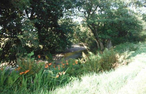 Mingulay, Cuil Bay - Foto 9