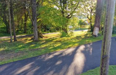 The Forest Cabin Holiday Home 15 - Foto 20