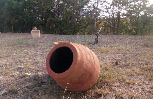 Los Tobares - Foto 35