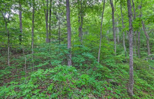 7 Mi to Dtwn Asheville Carriage House with Deck - Photo 22