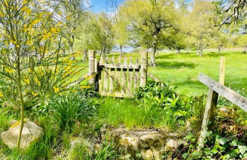 Tom's Lodge - Foto 29