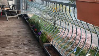 Rheinblick Apartment - Foto 4