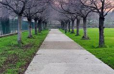 Logement au bord de la Seine, proche de Paris - Foto 21