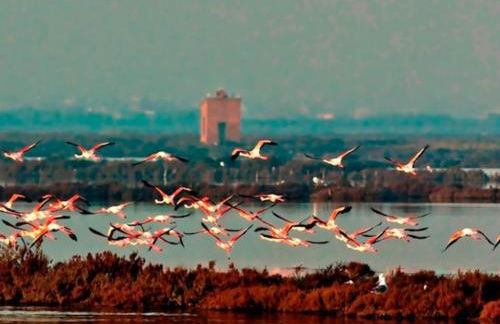 Delphina House - Foto 38