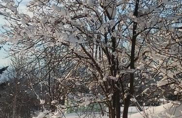 Apartament Karpetówka - Foto 45